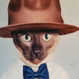 Meet your Posher, Bob